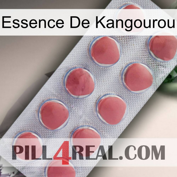 Kangaroo Essence 18